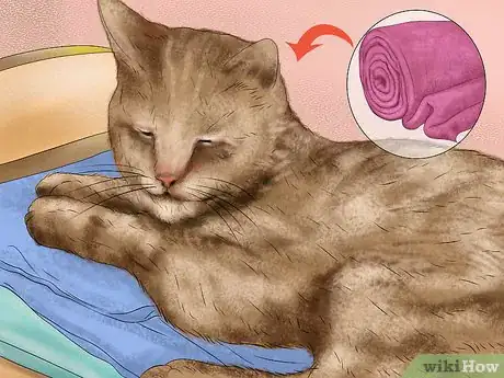 Imagen titulada Encourage a Cat to Use Its Bed Step 11