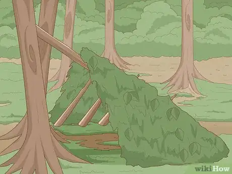 Imagen titulada Survive in the Jungle Step 9
