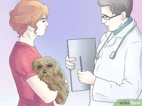 Imagen titulada Remove Ear Mites from a Dog Step 12