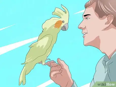 Imagen titulada Take Care of a Cockatiel Step 14