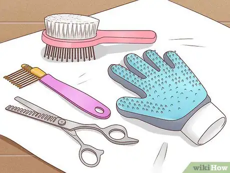 Imagen titulada Bathe a Cat Without Water Step 11