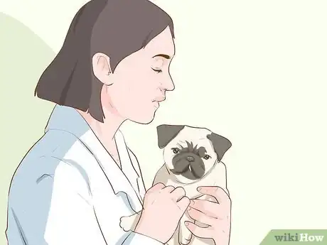 Imagen titulada Save a Newborn Puppy with a Cleft Palate Step 2