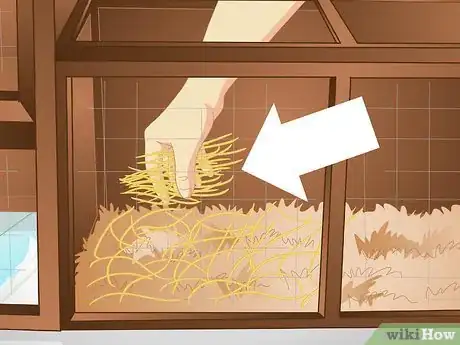 Imagen titulada Keep a Rabbit Warm Step 4