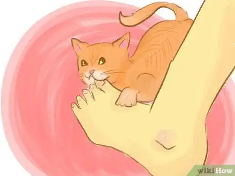 Imagen titulada Stop a Kitten from Biting Step 2