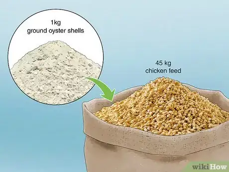 Imagen titulada Keep Chickens from Eating Their Own Eggs Step 6