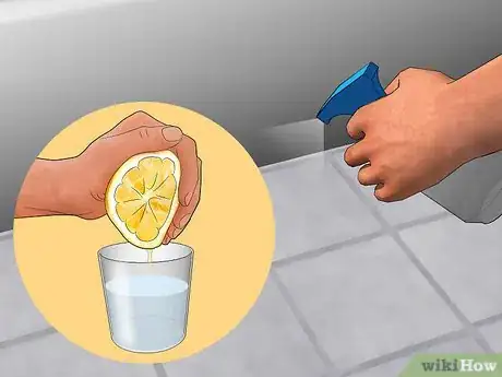 Imagen titulada Get Rid of Silverfish Step 10