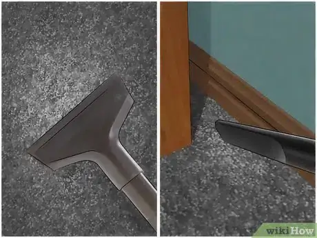 Imagen titulada Get Rid of Fleas in Carpets Step 13