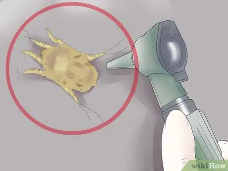Imagen titulada Remove Ear Mites from a Dog Step 16