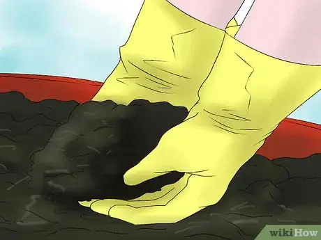 Imagen titulada Keep Narcissus Bulbs After Flowering Step 11