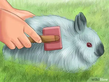 Imagen titulada Raise a Lop Eared Rabbit As a Pet Step 20