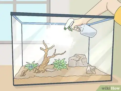Imagen titulada Feed an Anole Green Lizard Step 3