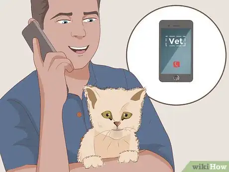 Imagen titulada Catch a Stray Kitten Step 4
