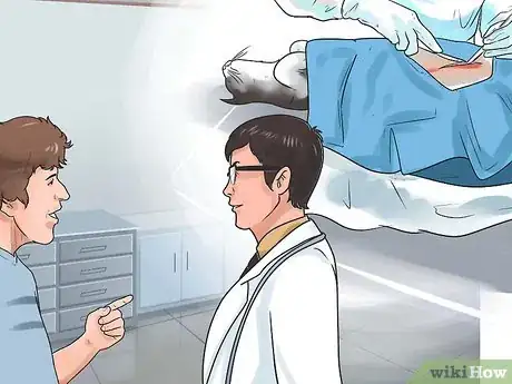 Imagen titulada Get Your Cat to Stop Hissing Step 8