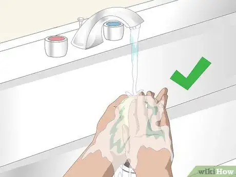 Imagen titulada Take Care of Mini Pet Turtles Step 14