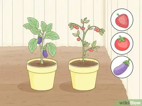 Imagen titulada Get Rid of Red Spider Mites Organically Step 1