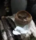 hacer una casa para hadas