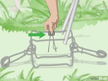 Imagen titulada Set a Conibear Trap Step 9