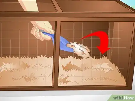 Imagen titulada Keep a Rabbit Warm Step 3