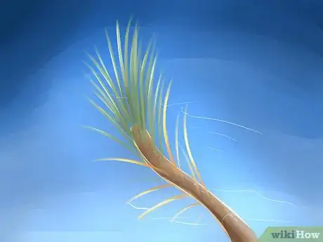 Imagen titulada Get Rid of Bagworms Step 4