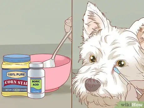 Imagen titulada Remove a Tear Duct Stain from White Dogs Step 3