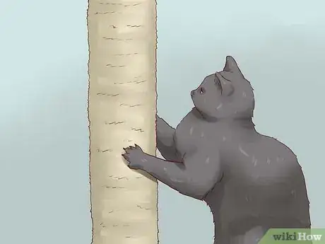 Imagen titulada Discipline Cats Step 8