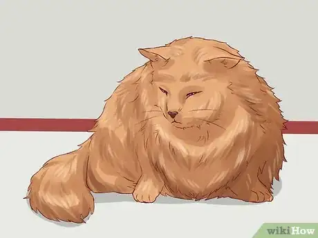 Imagen titulada Discipline Cats Step 5