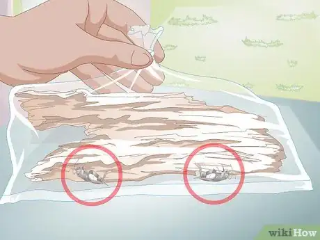 Imagen titulada Clean Driftwood Step 5
