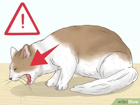 Imagen titulada Help a Cat Cough Up a Hairball Step 15