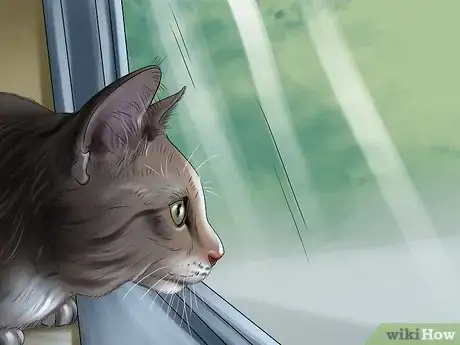 Imagen titulada Treat a Cat With a Cold Step 12