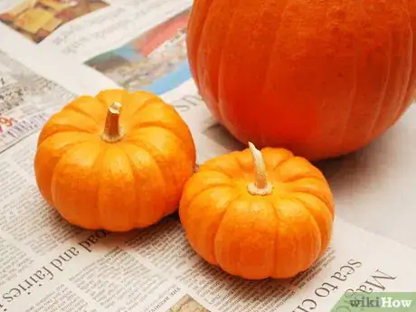 Imagen titulada Paint a Pumpkin Step 1