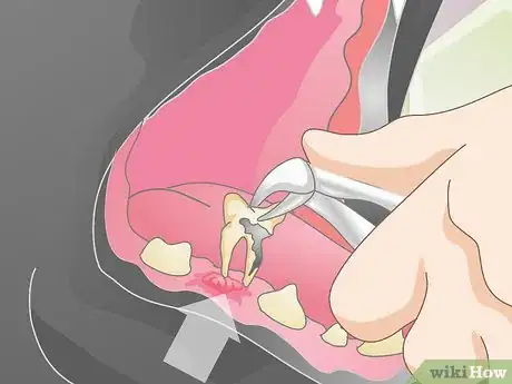 Imagen titulada Treat a Broken Tooth in Dogs Step 9