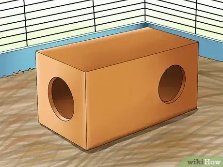 Imagen titulada Get Hamsters to Stop Fighting Step 10