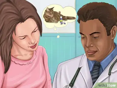Imagen titulada Kill Fleas and Ticks on Cats Step 3