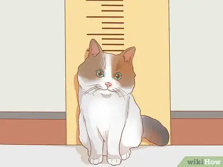 Imagen titulada Deworm a Kitten Step 9