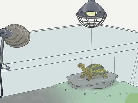 Imagen titulada Make A Habitat for Hermann’s Tortoises Step 7