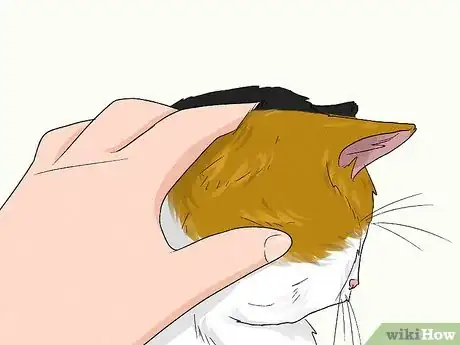 Imagen titulada Stop an Older Cat from Attacking a Kitten Step 14