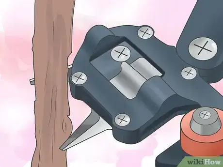 Imagen titulada Graft an Apple Tree Step 6