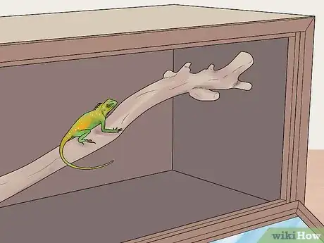 Imagen titulada Build a Reptile Cage Step 8
