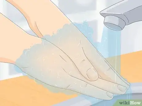 Imagen titulada Bathe a Russian Tortoise Step 14