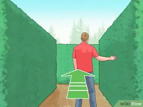 Imagen titulada Find Your Way Through a Maze Step 2