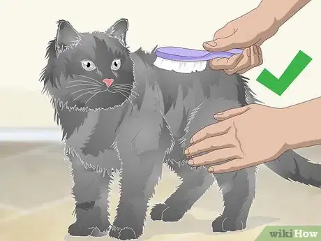 Imagen titulada Help a Vomiting Cat Step 4