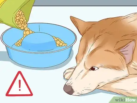 Imagen titulada Tell if a Dog Is Pregnant Step 17