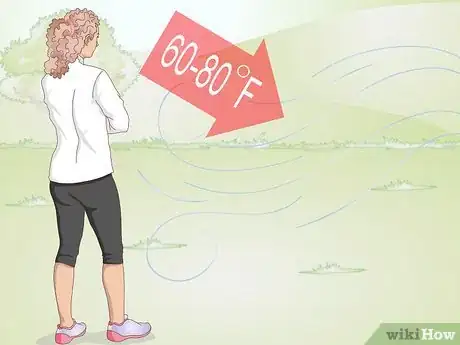 Imagen titulada Exercise Your Guinea Pig Step 11