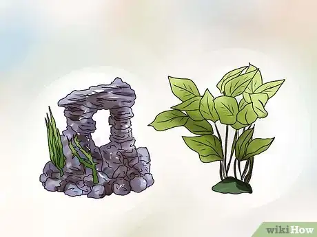 Imagen titulada Make a Turtle Environment Step 4