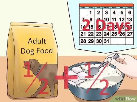 Imagen titulada Ease Your Dog's Stomach Problems Step 16