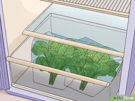 Imagen titulada Grow Mustard Greens Step 10