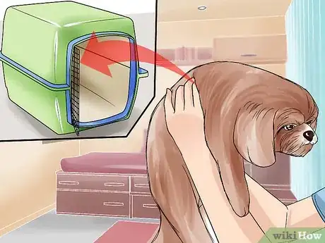 Imagen titulada Pick Up a Puppy Step 17
