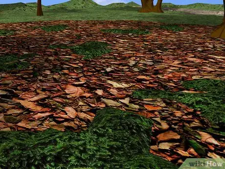 Imagen titulada Build a Natural Shelter in the Jungle Step 2Bullet3