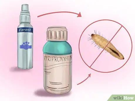 Imagen titulada Kill Fleas and Ticks on Cats Step 4