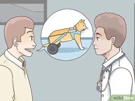 Imagen titulada Deal with a Paralyzed Cat Step 10